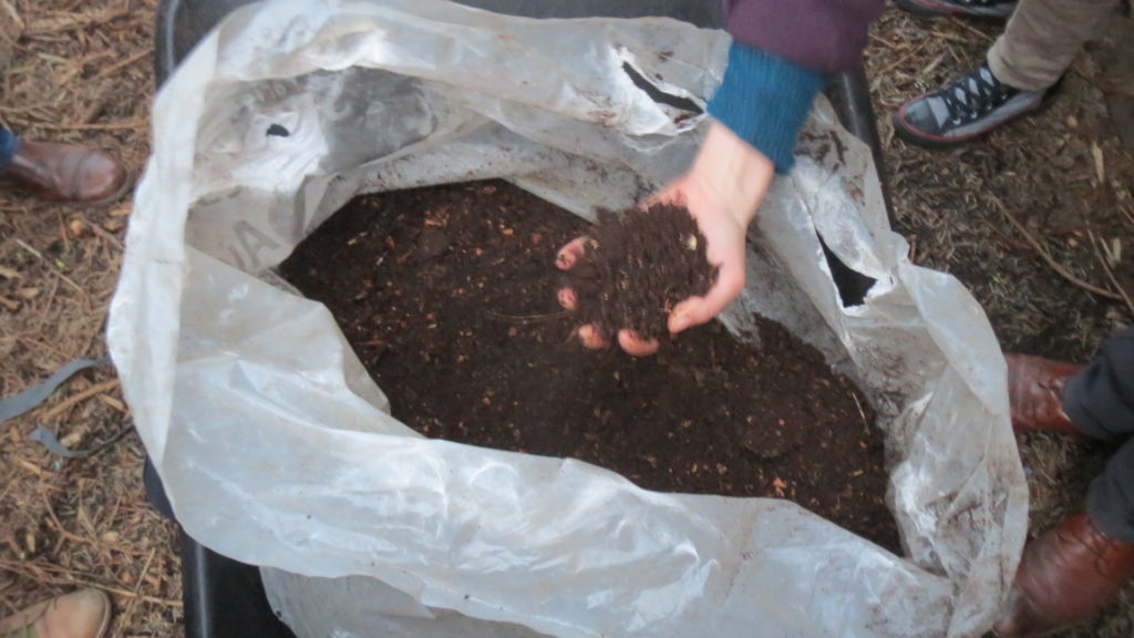 Compost : quelle est la différence entre un composteur et un  lombricomposteur ?